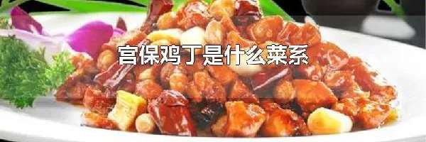 宫保鸡丁是什么菜系