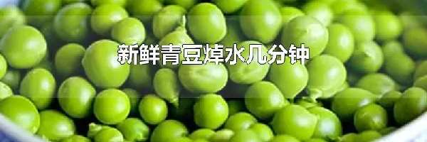 新鲜青豆焯水几分钟