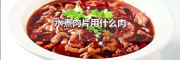 水煮肉片用什么肉