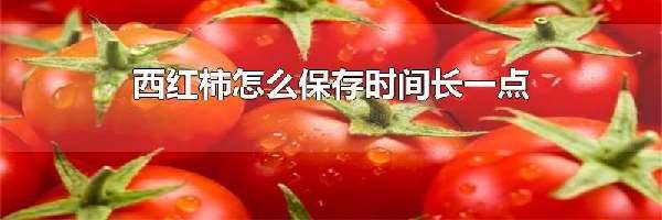 西红柿怎么保存时间长一点