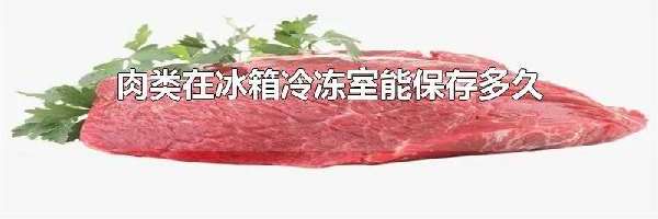 肉类在冰箱冷冻室能保存多久