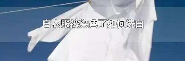 白衣服被染色了如何洗白