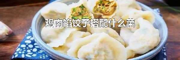 鸡肉馅饺子搭配什么菜