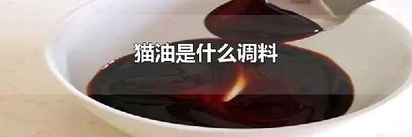 猫油是什么调料