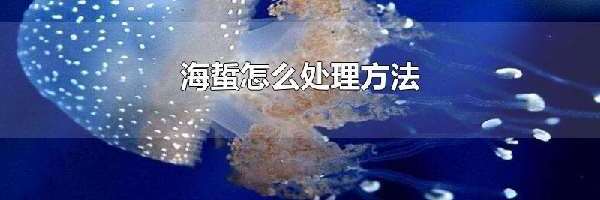 海蜇怎么处理方法