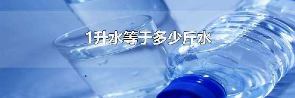 1升水等于多少斤水