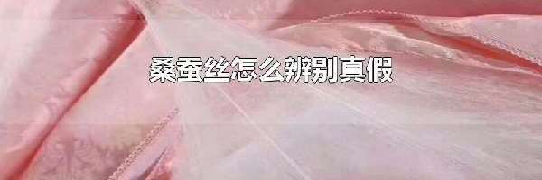 桑蚕丝怎么辨别真假