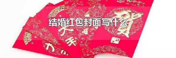 结婚红包封面写什么