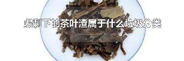 喝剩下的茶叶渣属于什么垃圾分类