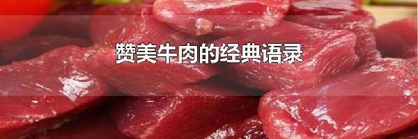 赞美牛肉的经典语录