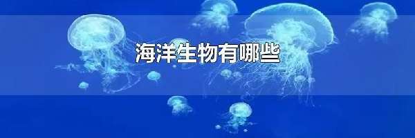 海洋生物有哪些