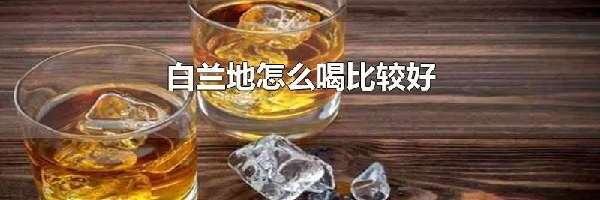 白兰地怎么喝比较好