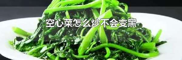 空心菜怎么炒不会变黑