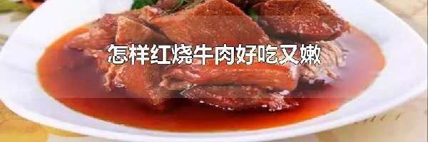 怎样红烧牛肉好吃又嫩