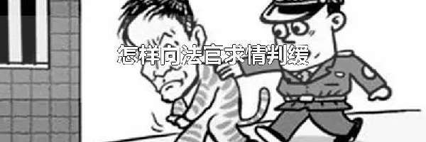 怎样向法官求情判缓