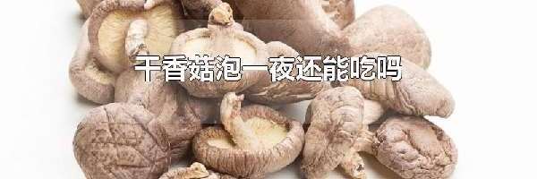 干香菇泡一夜还能吃吗