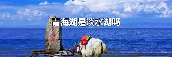 青海湖是淡水湖吗