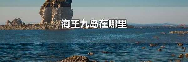 海王九岛在哪里