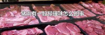 猪肉有一股尿骚味怎么回事