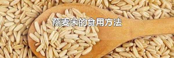 燕麦米的食用方法