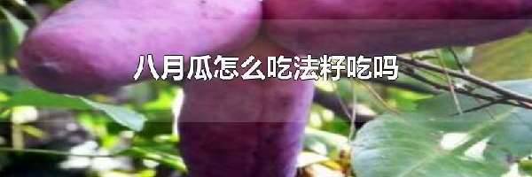 八月瓜怎么吃法籽吃吗