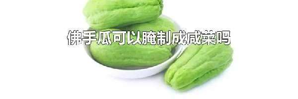 佛手瓜可以腌制成咸菜吗