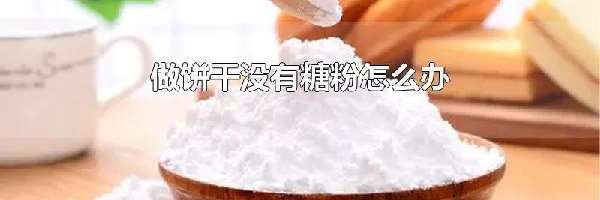 做饼干没有糖粉怎么办