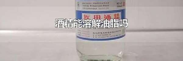 酒精能溶解油脂吗