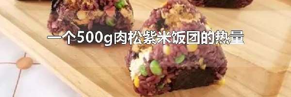 一个500g肉松紫米饭团的热量