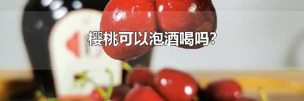 樱桃可以泡酒喝吗?