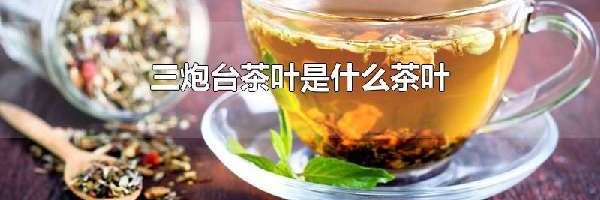 三炮台茶叶是什么茶叶