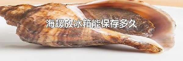 海螺放冰箱能保存多久