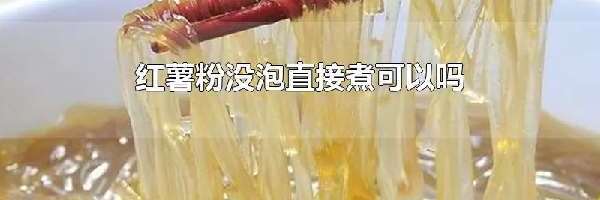 红薯粉没泡直接煮可以吗