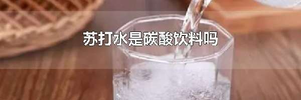 苏打水是碳酸饮料吗