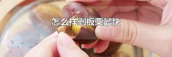 怎么样剥板栗最快