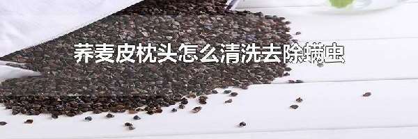 荞麦皮枕头怎么清洗去除螨虫