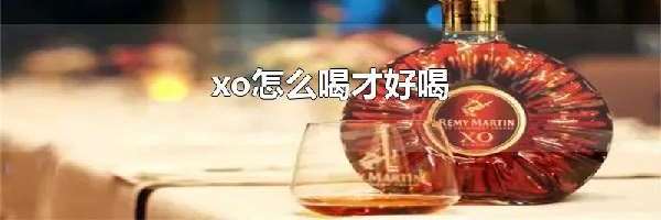 xo怎么喝才好喝