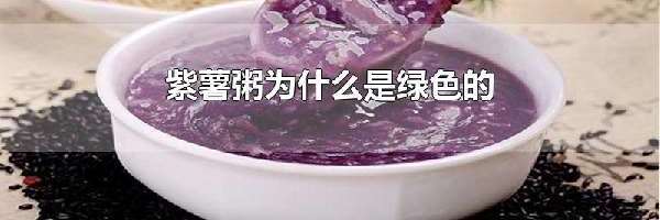 紫薯粥为什么是绿色的
