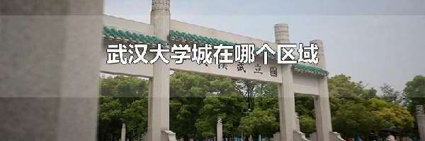 武汉大学城在哪个区域