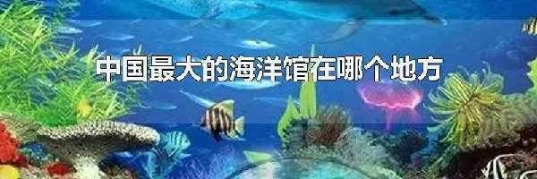 中国最大的海洋馆在哪个地方