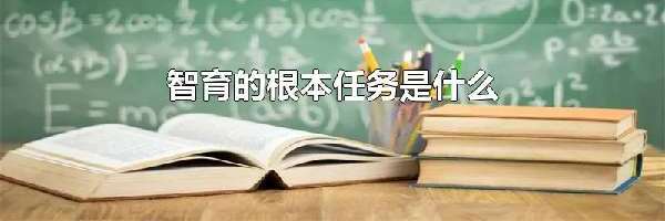 智育的根本任务是什么