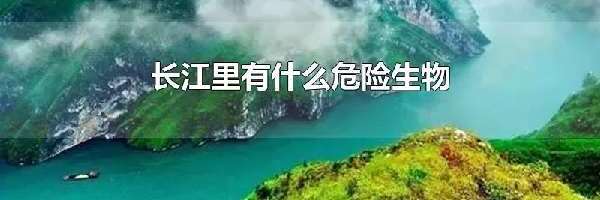 长江里有什么危险生物