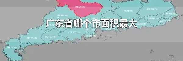 广东省哪个市面积最大