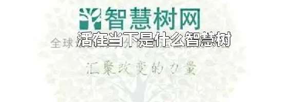 活在当下是什么智慧树