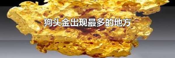 狗头金出现最多的地方