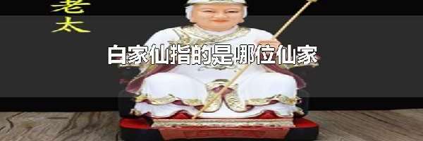 白家仙指的是哪位仙家