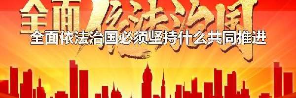 全面依法治国必须坚持什么共同推进