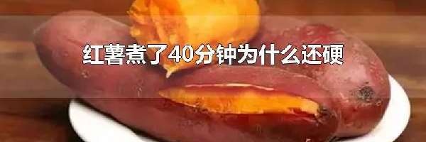 红薯煮了40分钟为什么还硬