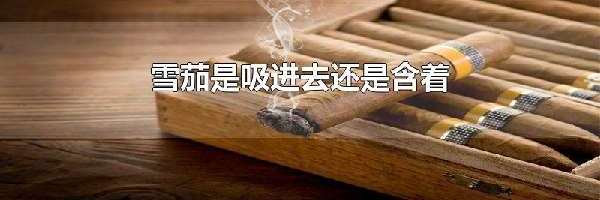 雪茄是吸进去还是含着