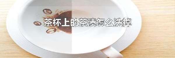 茶杯上的茶渍怎么洗掉